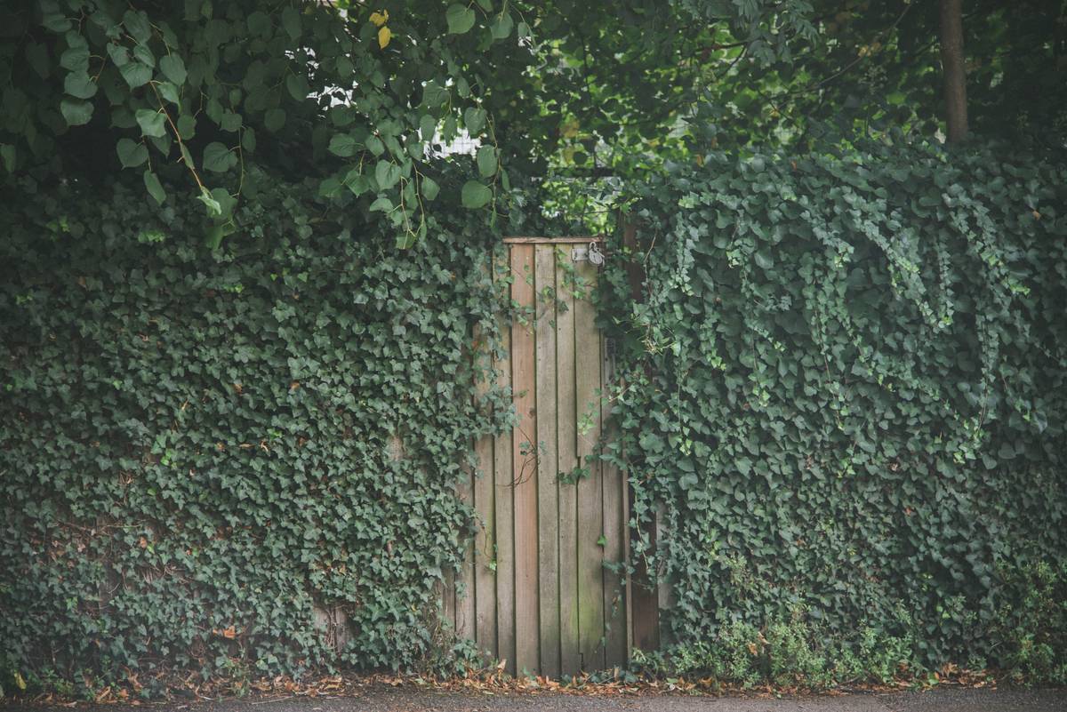 small arbor design for garden with white painted wood and morning glories climbing up