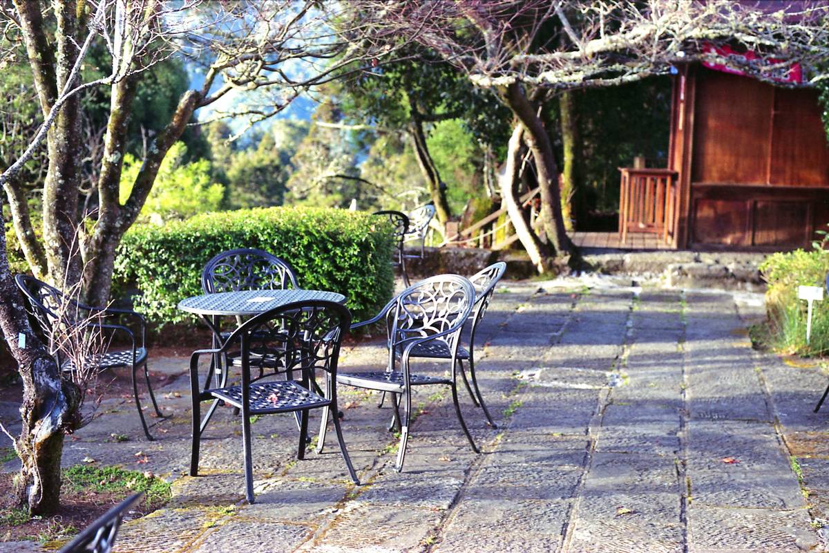 How to Decorate an Arbor: 7 Proven Tips to Avoid Costly Mistakes