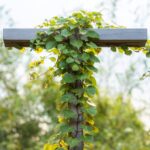 Small Arbor Design for Garden: 7 Proven Tips to Avoid Costly Mistakes